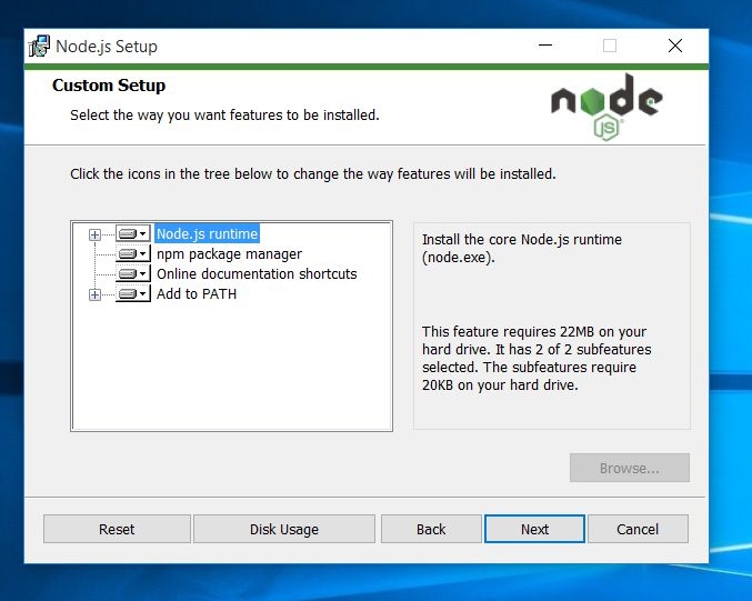 node.js custom installation